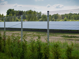 Fototapeta premium A fence with a solar panel behind it. The fence is made of metal and has a green bush growing out of it. Green renewable energy production and technology. Electricity generation.
