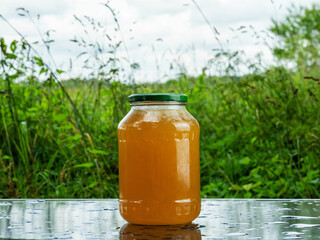 Glass jar of golden bee honey is on a wet table, green grass field and sky in the background. Fine...