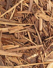 Abstract Brown Wood Chipboard Texture Close Up Pattern Background Material Surface
