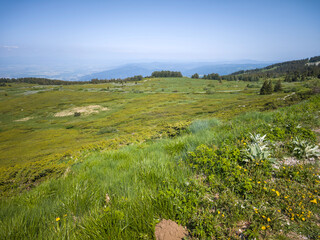 Panorama of Vitosha Mountain, Bulgaria