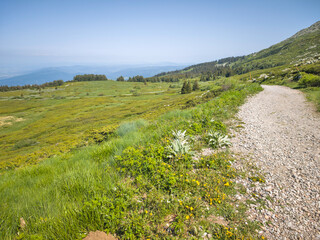Panorama of Vitosha Mountain, Bulgaria