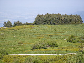 Panorama of Vitosha Mountain, Bulgaria