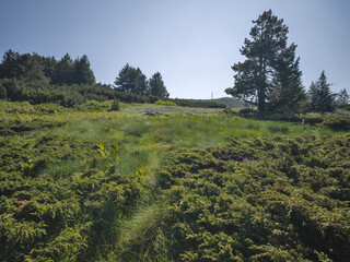 Panorama of Vitosha Mountain, Bulgaria