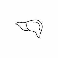 healthy liver organ icon sign vector