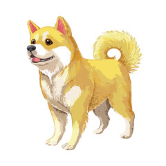 a yellow Korean Jindo dog tilting its head with curious eyes, fluffy curled tail to the side, drawn in soft colored pencil style,