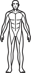 Fototapeta premium Human Anatomy Outline in Black and White