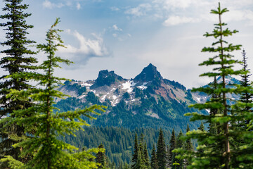 Nature mountain forest. Green forest wood landscape in mountain. Nature of mixed forest. Landscape of scenery nature. Scenic landscape woodland. Hill landscape with forest. Hill and meadow