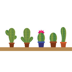 Collection of five cute cacti. Vector