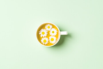 Cup of chamomile tea with fresh daisy flowers on pastel green background.