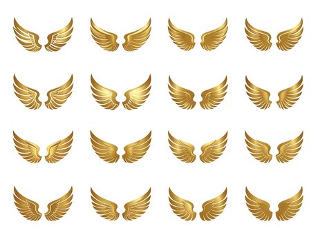 Golden Wing Set
