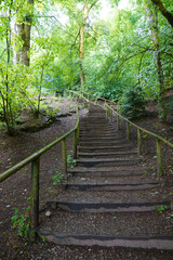 Meadows and pastures in the countryside