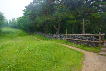 Meadows and pastures in the countryside