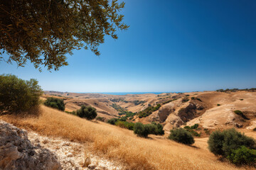 experience breathtaking beauty of summer landscapes across  countries where lush mediterranean fields meet
