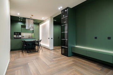 Modern kitchen and living area featuring sleek design and warm wood flooring in a stylish urban apartment