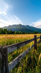 Fototapeta premium A golden field of crops with an old wooden fence, set against a backdrop of majestic mountains and a clear blue sky, bathed in warm sunlight.