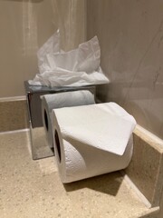 Tissues and toilet paper in a clean, minimal, almost sterile space, emphasizing personal hygiene and sanitary environment.