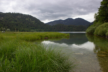 Calm mountain lake surrounded by green forested hills under a cloudy sky, with lush grass and weathered logs in the foreground.