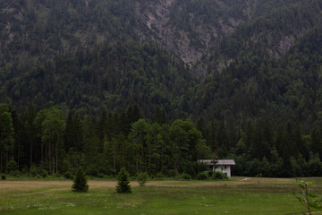 Lonely white house stands on a wide grassy field at the edge of a dense forest. Surrounded by tall trees and mountains, the scene evokes calmness and rural solitude.