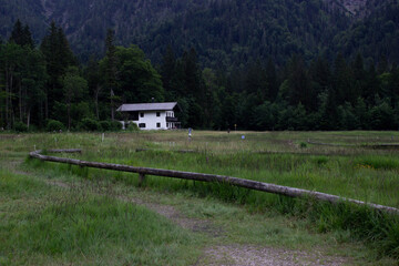 Lonely white house stands on a wide grassy field at the edge of a dense forest. Surrounded by tall...