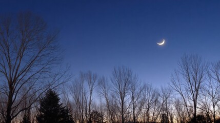 Obraz premium Crescent Moon Illuminates Twilight Sky Over Bare Trees in a Serene Evening Landscape
