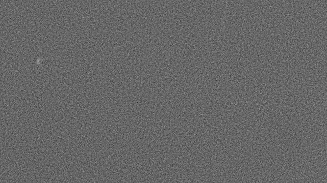 8mm Grain Overlay - FP4 IL FN P4 8mm Fine Analog Grain Scan in Black and White Negative Film Stock Overlay