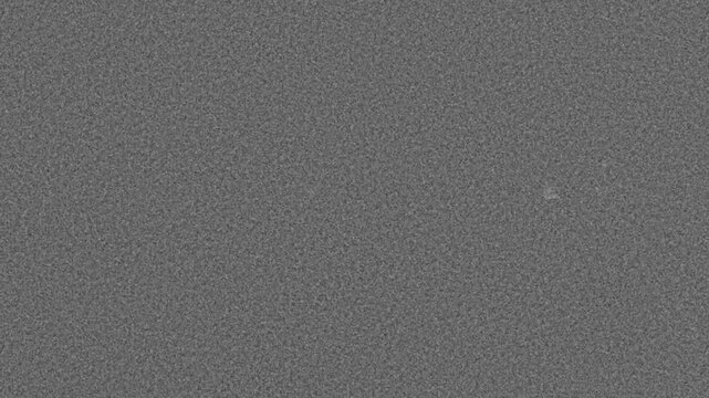 8mm Grain Overlay - KD TrX 400 Tri-X 400 Professional Black and White Film Overlay