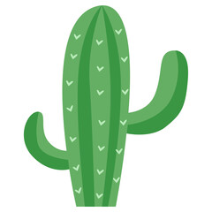 Tall Green Cactus with Flowers