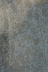 Textured Surface of Concrete Wall