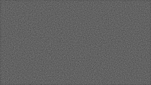 8mm Grain Overlay - FP4 IL FN P4 8mm Fine Analog Grain Scan in Black and White Negative Film Stock Overlay with Organic Imperfections