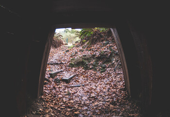 cave in the forest old mine shaft mining gold digging new zealand