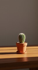 Sunlit cactus brings desert charm to modern interiors, perfect for minimalist home decor or adding a touch of nature to your workspace