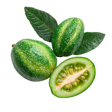 Vibrant Green Coccinia Grandis: A close-up shot showcasing three fresh coccinia grandis fruits, with one expertly sliced open to reveal its inner detail, the fruit's natural beauty in a detailed shot.
