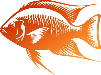 background ilustration tilapia fish