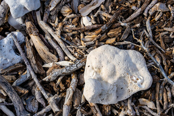 Pristine Coral Sand Beach with Lava Rock - Background