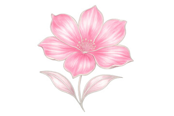 Fototapeta premium Delicate pink blossom with silver-edged petals, gracefully positioned on transparent backdrop, highlighting floral elegance