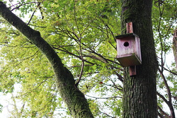 公園の中の鳥の巣箱