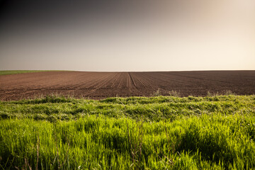 Bright spring grass contrasts with freshly ploughed brown soil on the gentle plains of Vojvodina,...