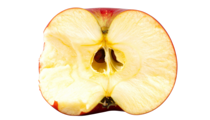 Eaten Apple PNG, Partially Consumed Red Apple Isolated, Transparent Background, Fresh Fruit, Snack, and Healthy Food