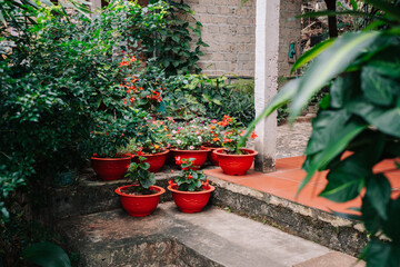 A colorful courtyard with red flower pots and lush greenery. Steps lead to a tiled area, creating a...