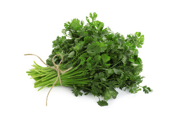 Bunch of fresh cilantro isolated on white