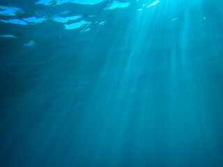 The sun shines through water, casting mottled light and shadow, intertwined with countless bubbles underwater, like a dance of light. Various aquatic, fish swimming in water in Mediterranean sea.