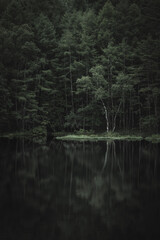 夏の御射鹿池の風景　長野県茅野市