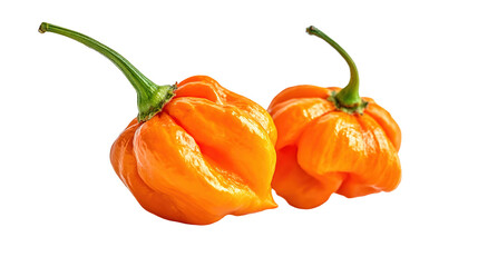 Three different colored and shaped peppers isolated on white