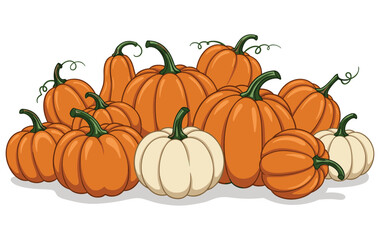 Assorted orange and white pumpkins with green stems for autumn harvest season. Vector illustration