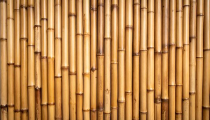 Fototapeta premium Close-up view of a light brown bamboo wall