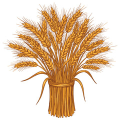 Fototapeta premium Golden wheat sheaf illustration. Vector illustration