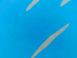 feather on blue background