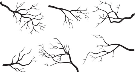 Bare Branches Silhouettes: A Collection of Leafless Tree Twigs and Branches