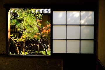 京都、紅葉、常照寺、寺院、文化財、木造建築、古代建築、日本文化、歷史名勝、古都京都の文化財、木、綠色、青空、秋、絶景、写真素材	
