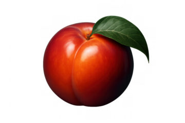 Ripe, glossy red plum hanging with green leaf, showcasing vibrant color against transparent backdrop